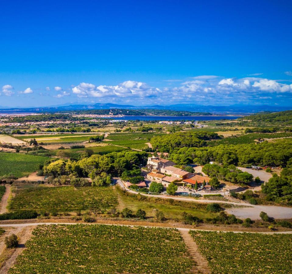 Chateau Le Bouis Gruissan Exterior photo
